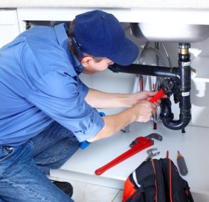 diy plumbing damage harm plumbing plumber solutions california san jose los gatos mold moldy pipes drain clog clogged leak leakage cleaning clearing home house